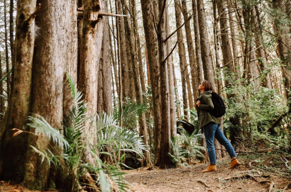 Montecristo National Park, El Salvador